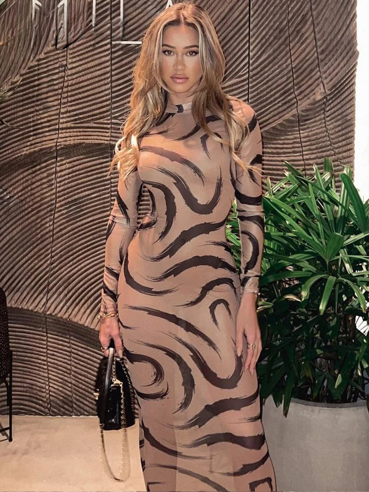 Mesh Long Sleeve See Through Midi Dress