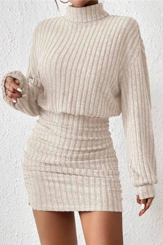 Sexy Knit Turtleneck Long Sleeve Bodycon Sweater Dress