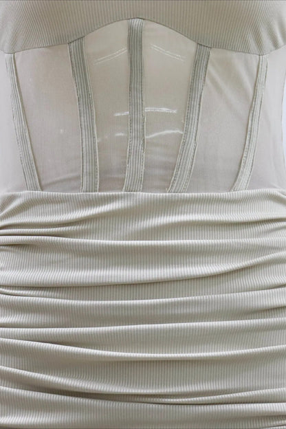 Sheer Mesh Bodycon Mini Dress