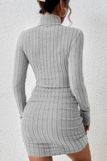 Solid Knit Turtleneck Ribbed Bodycon Mini Sweater Dress