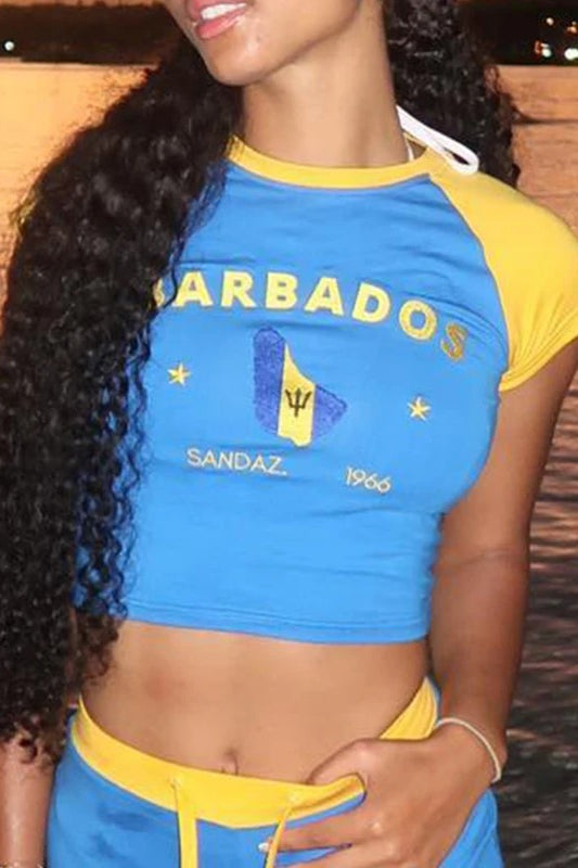 Blue Embroidered Crop Top