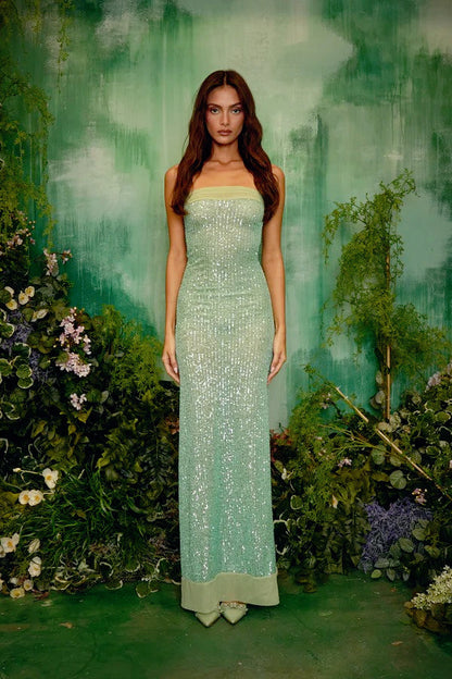 Strapless Sequin Bodycon Birthday Dress