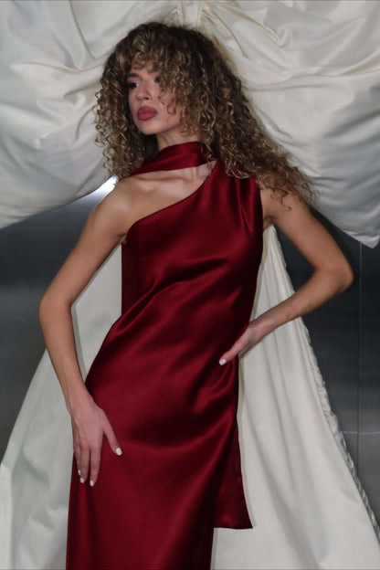 One Shoulder Fitted Silk Dress