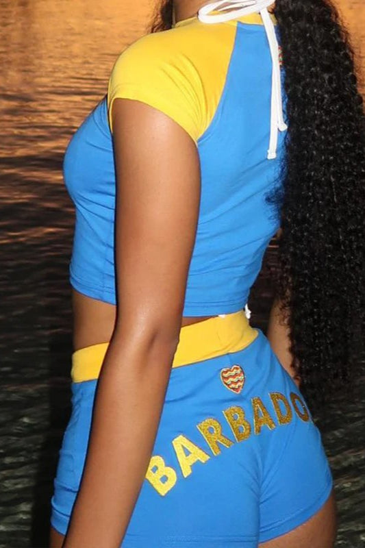 Blue Embroidered Crop Top