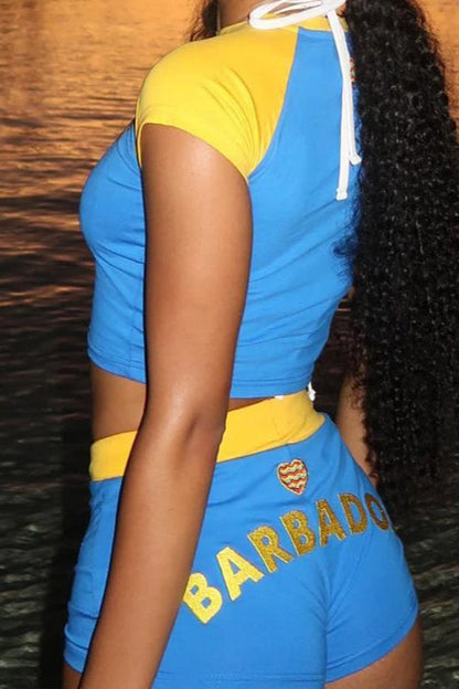 Blue Embroidered Crop Top