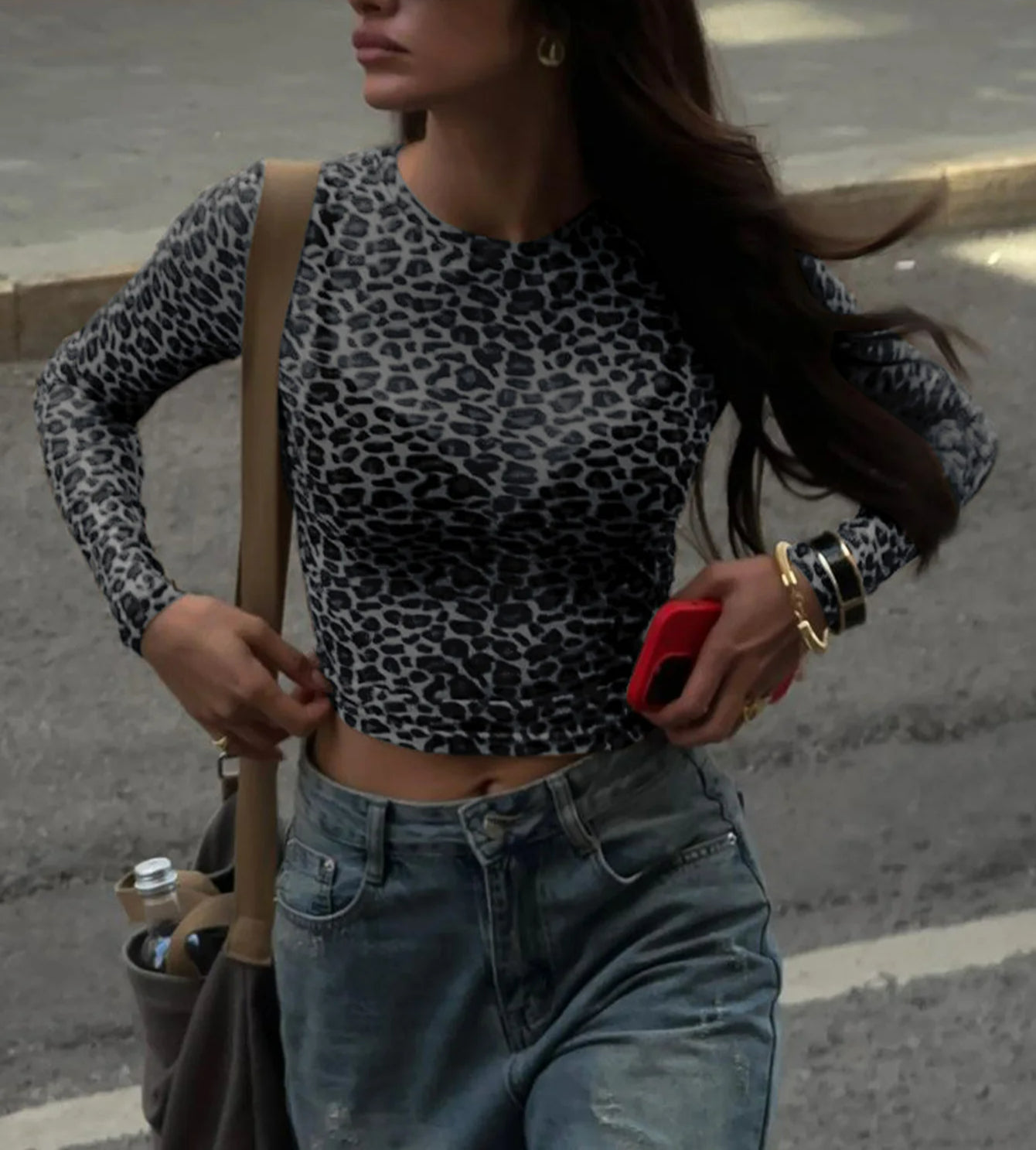 Sexy Leopard Mesh Crop Sheer Top