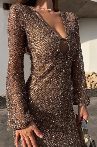 Elegant Sequin Crochet Bodycon Sequin Dress