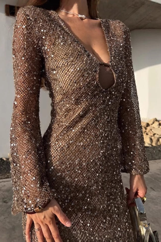 Elegant Sequin Crochet Bodycon Sequin Dress