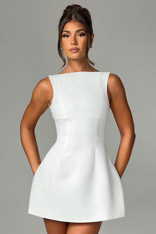 Fitted Sleeveless A-Line Work Dress