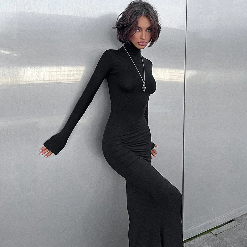Turtleneck Long Sleeve Maxi Dress