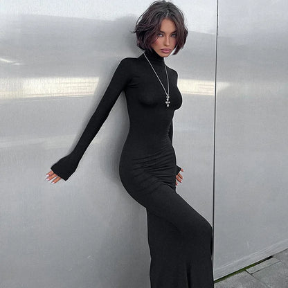 Turtleneck Long Sleeve Maxi Dress