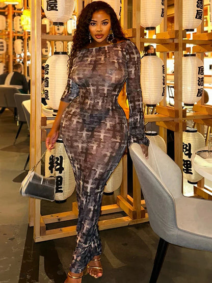 Mesh Print Colorblock Sheath Midi Dress