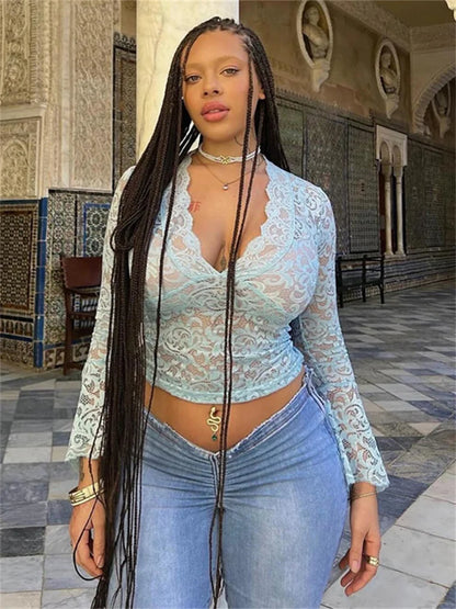 Flare Sleeve Lace V-Neck Sheer Top