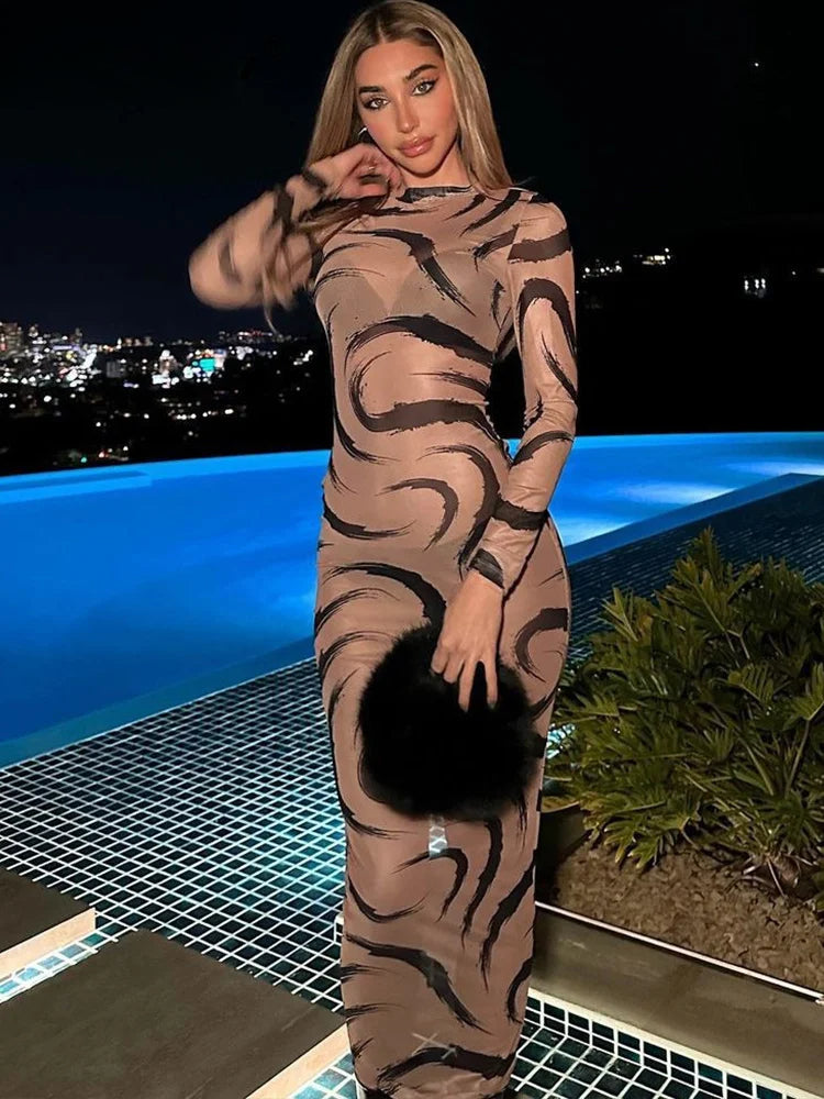 Mesh Long Sleeve See Through Midi Dress