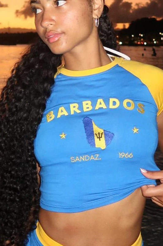 Blue Embroidered Crop Top