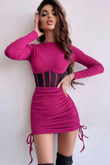 Sheer Mesh Bodycon Mini Dress