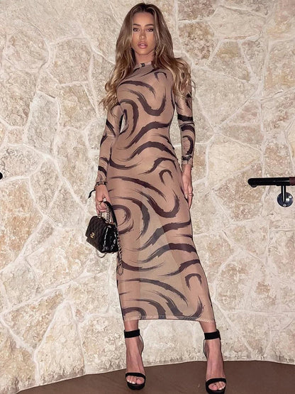 Mesh Long Sleeve See Through Midi Dress